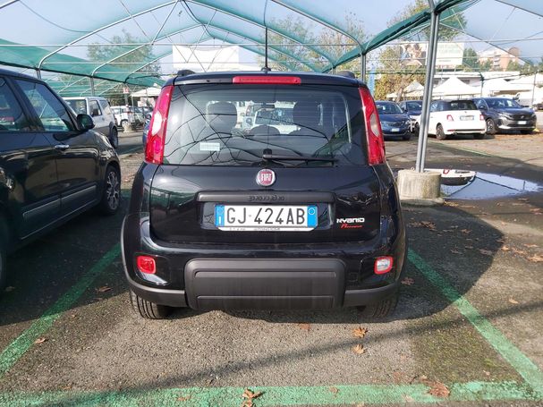 Fiat Panda 1.0 Hybrid City Life 51 kW image number 4