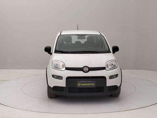 Fiat Panda 1.0 Hybrid City 51 kW image number 2