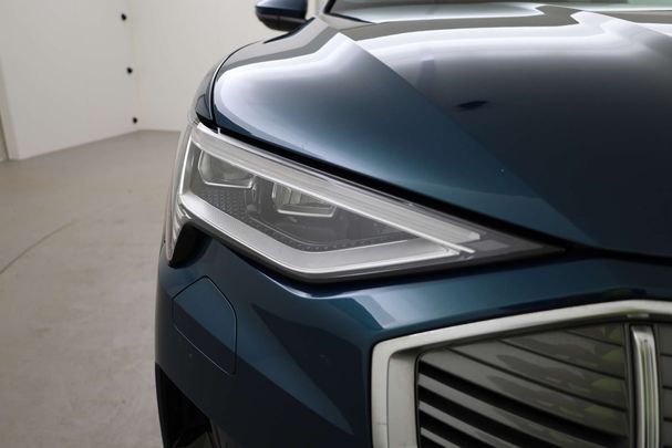 Audi e-tron 55 quattro Business 300 kW image number 22