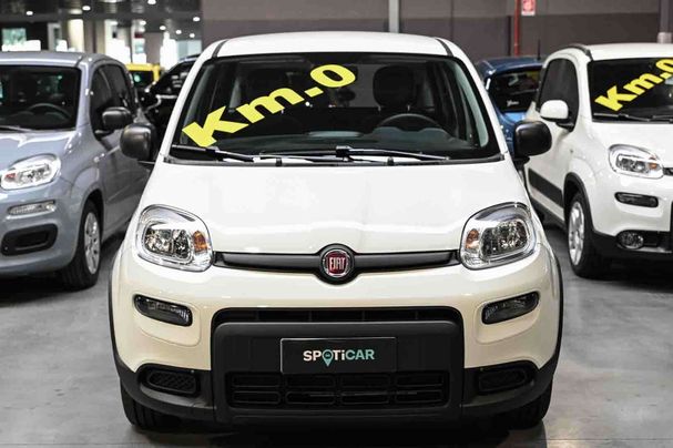 Fiat Panda 1.0 Hybrid 51 kW image number 2