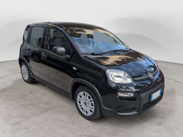 Fiat Panda 1.0 Hybrid 51 kW image number 2