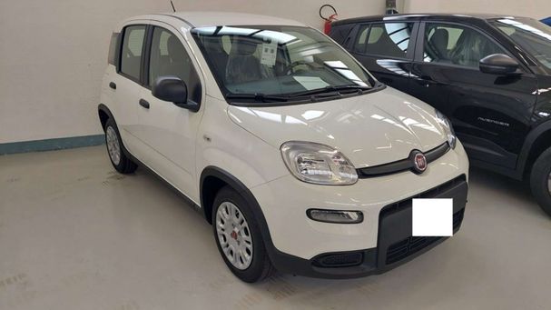 Fiat Panda 1.0 Hybrid 51 kW image number 2