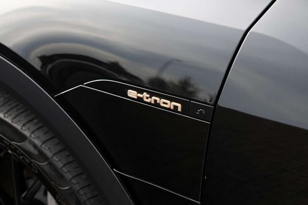 Audi e-tron 55 quattro Advanced 300 kW image number 10