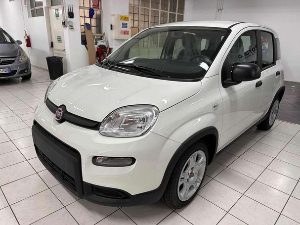 Fiat Panda 1.0 Hybrid 51 kW image number 1