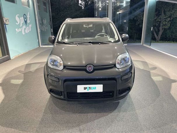 Fiat Panda 1.0 Hybrid City Life 51 kW image number 6