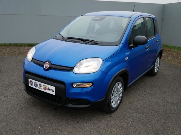 Fiat Panda 51 kW image number 8