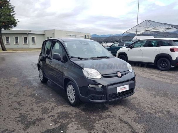 Fiat Panda 51 kW image number 3