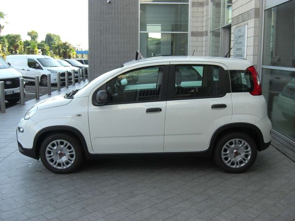 Fiat Panda 1.0 Hybrid 51 kW image number 6