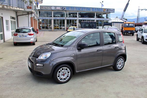 Fiat Panda 1.0 Hybrid 51 kW image number 1