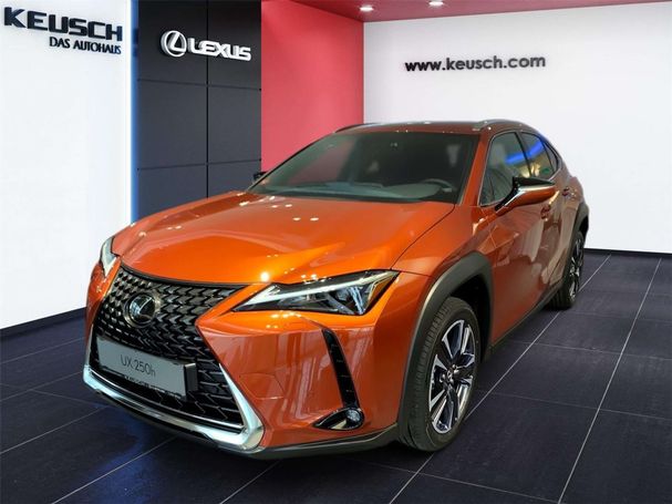 Lexus UX 250h 135 kW image number 2