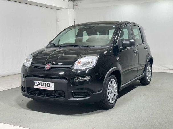 Fiat Panda 51 kW image number 1