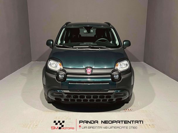 Fiat Panda 1.0 Hybrid 51 kW image number 3