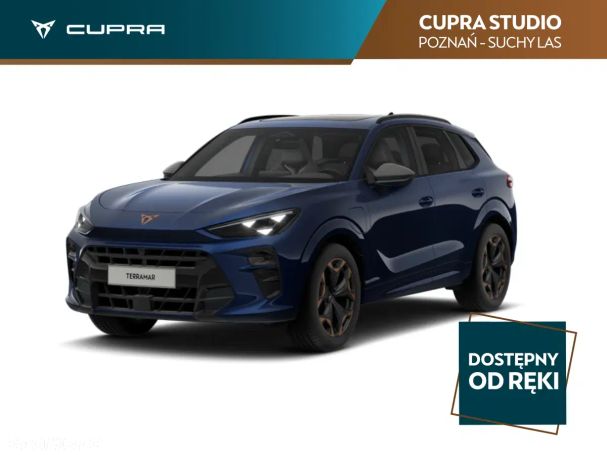 Cupra Terramar 200 kW image number 1