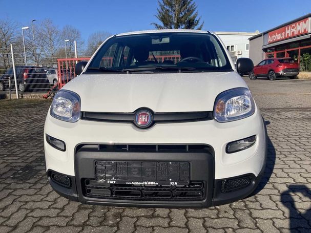 Fiat Panda 1.0 Hybrid 51 kW image number 3