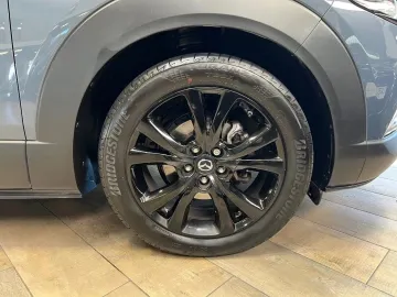 Car image 30