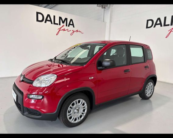 Fiat Panda 51 kW image number 1