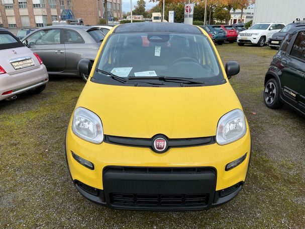 Fiat Panda 51 kW image number 4