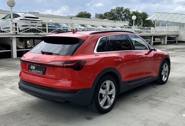 Audi e-tron 55 quattro 300 kW image number 7