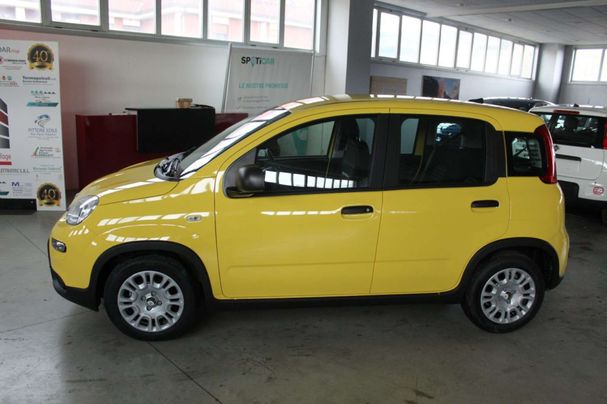 Fiat Panda 51 kW image number 5