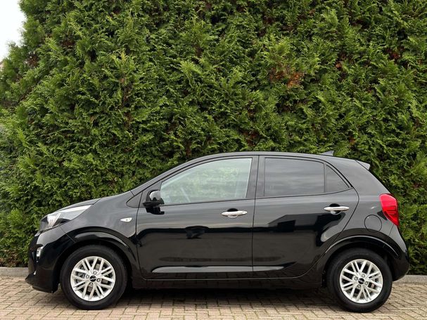 Kia Picanto 1.0 49 kW image number 3