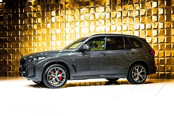 BMW X5 xDrive 220 kW image number 9