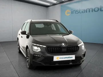 Car image 30