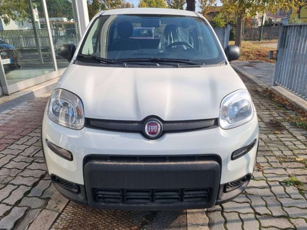 Fiat Panda 1.0 Hybrid 51 kW image number 12