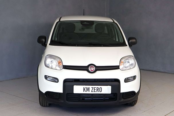 Fiat Panda 51 kW image number 2