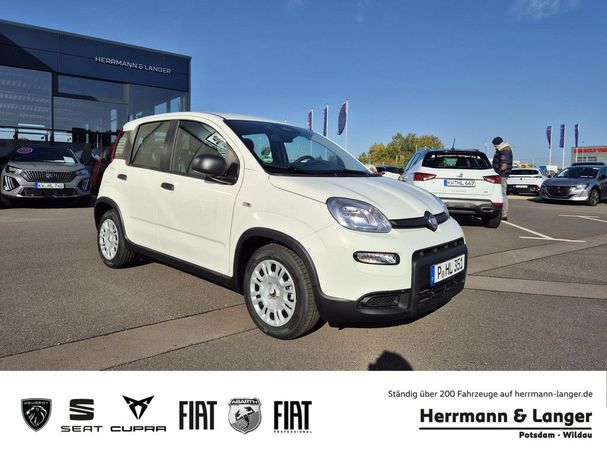 Fiat Panda 51 kW image number 2