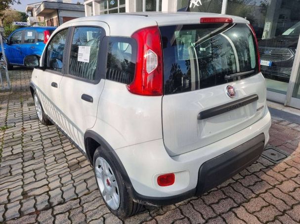 Fiat Panda 1.0 Hybrid 51 kW image number 3