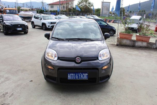 Fiat Panda 1.0 Hybrid 51 kW image number 4