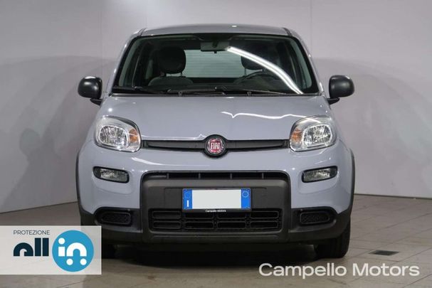 Fiat Panda 1.0 Hybrid 51 kW image number 1