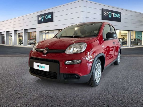 Fiat Panda 51 kW image number 1