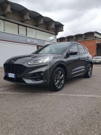 Ford Kuga 132 kW image number 1