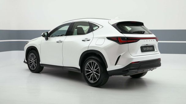 Lexus NX 350 h 179 kW image number 3