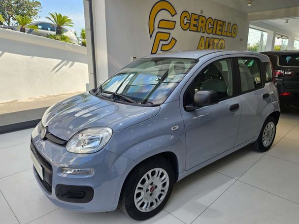 Fiat Panda 1.0 Hybrid 51 kW image number 1