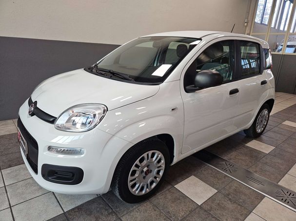 Fiat Panda 1.0 Hybrid Sport 51 kW image number 1