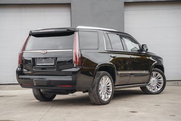 Cadillac Escalade 313 kW image number 6