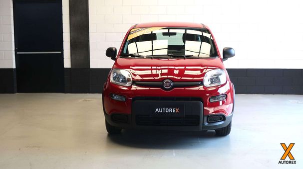 Fiat Panda 1.0 Hybrid 51 kW image number 2