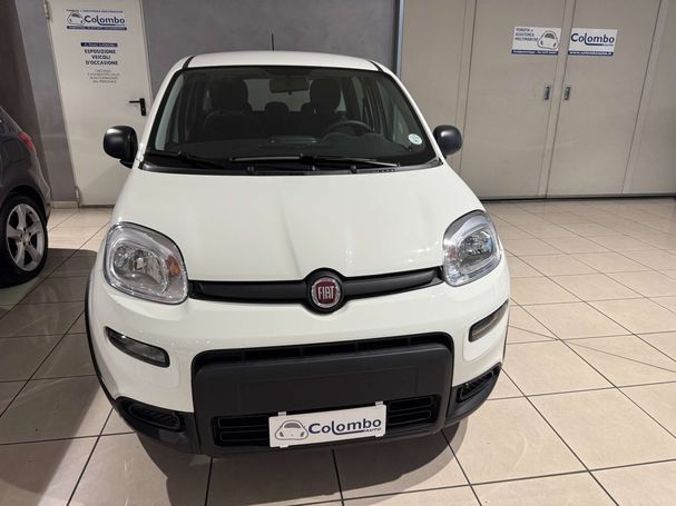 Fiat Panda 1.0 Hybrid 51 kW image number 2