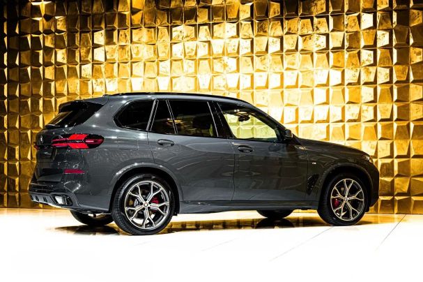 BMW X5 xDrive 220 kW image number 7