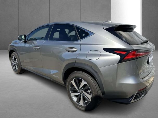 Lexus NX 300 h 145 kW image number 7