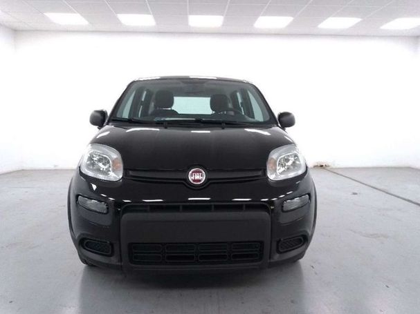 Fiat Panda 1.2 51 kW image number 4