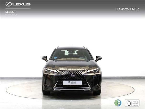 Lexus UX 250h 135 kW image number 2