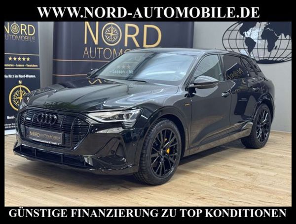 Audi e-tron 50 S-line 230 kW image number 1