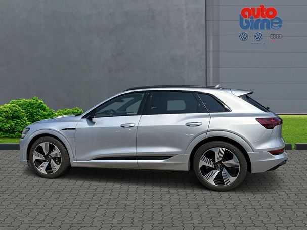 Audi e-tron 50 quattro S-line 230 kW image number 5