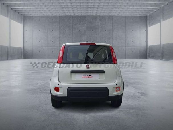 Fiat Panda 51 kW image number 3