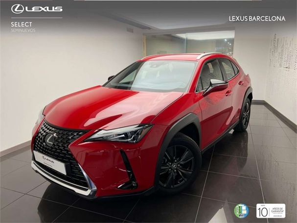 Lexus UX Business 135 kW image number 1