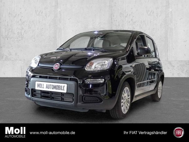 Fiat Panda 51 kW image number 1