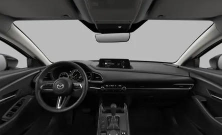 Car image 30
